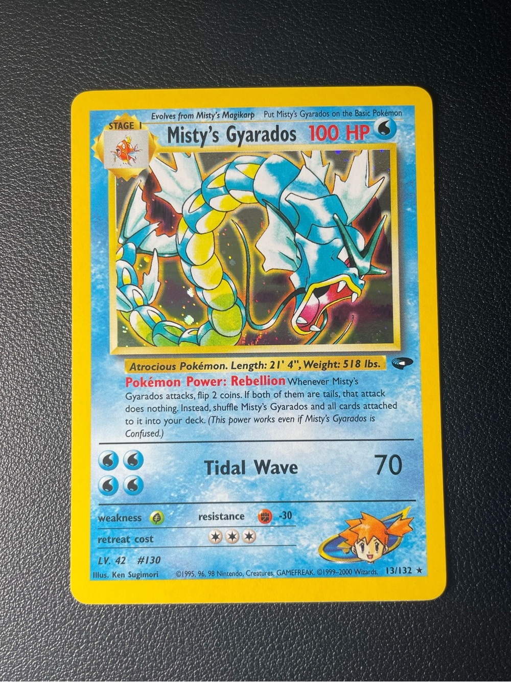 Misty's Gyarados #13/Pokemon Gym Challenge